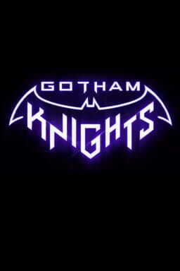  Gotham Knights